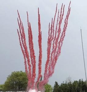 SK001(B) Салют Дневной Розовый гендер пати (1,2*20) 1/4/1 Веер