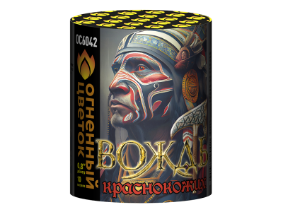 ОС6042 Салют "Вождь краснокожих" (08,*10) 1/24/1