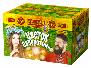 РС2810 Салют+фонтан &quot;Цветок папоротника&quot; (1,0&quot;х35) 1/2/1