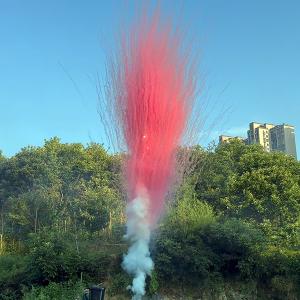 СУ0100312Р Салют Дневной Гендерный  Розовый (1,2*7) 1/15/1 треск