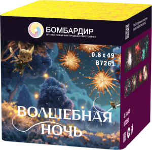 В7261 Салют Волшебная ночь (0,8"х49) 1/8/1