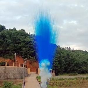 СУ0101612В Салют Дневной Гендерный Голубой (1,2*16) 1/6/1