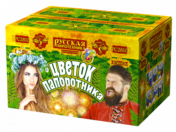 РС2810 Салют+фонтан "Цветок папоротника" (1,0"х35) 1/2/1