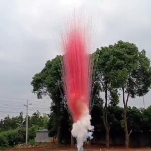 СУ0101612Р Салют Дневной Гендерный Розовый (1,2*16) 1/6/1