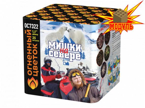 ОС7322 Салют &quot;Мишки на севере&quot; (1,0&quot;х25) 1/8/1