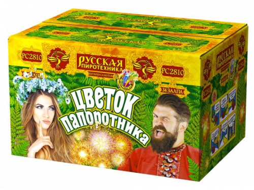 РС2810 Салют+фонтан &quot;Цветок папоротника&quot; (1,0&quot;х35) 1/2/1